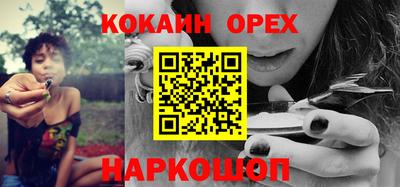 крисы Аргун