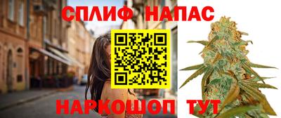 крисы Аргун