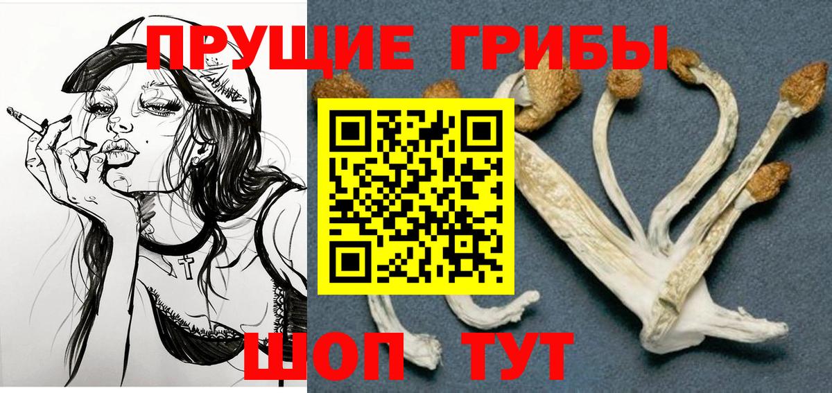 Галлюциногенные грибы MAGIC MUSHROOMS  Галлюциногенные грибы мицелий  где купить наркотик  Апшеронск  Вход с VPN 