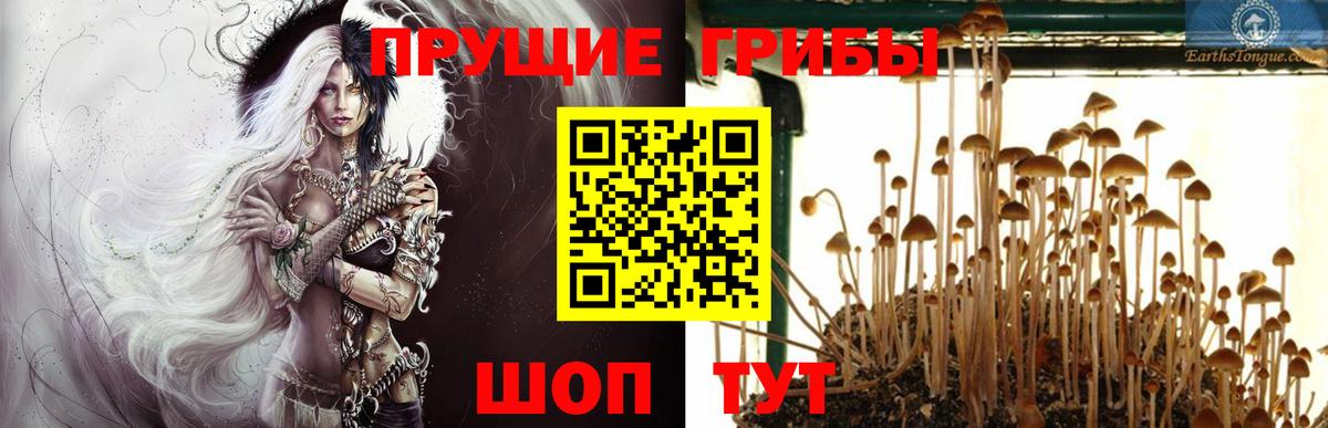 Псилоцибиновые грибы Magic Shrooms Апшеронск